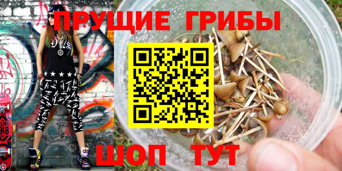 Галлюциногенные грибы GOLDEN TEACHER Можга