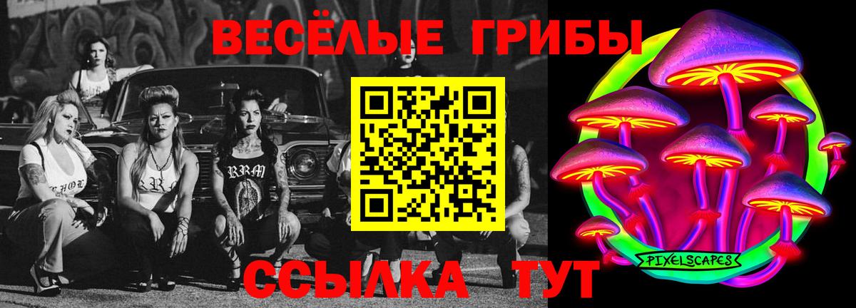 Псилоцибиновые грибы мицелий  Вход с VPN  Галлюциногенные грибы прущие грибы  Можга 